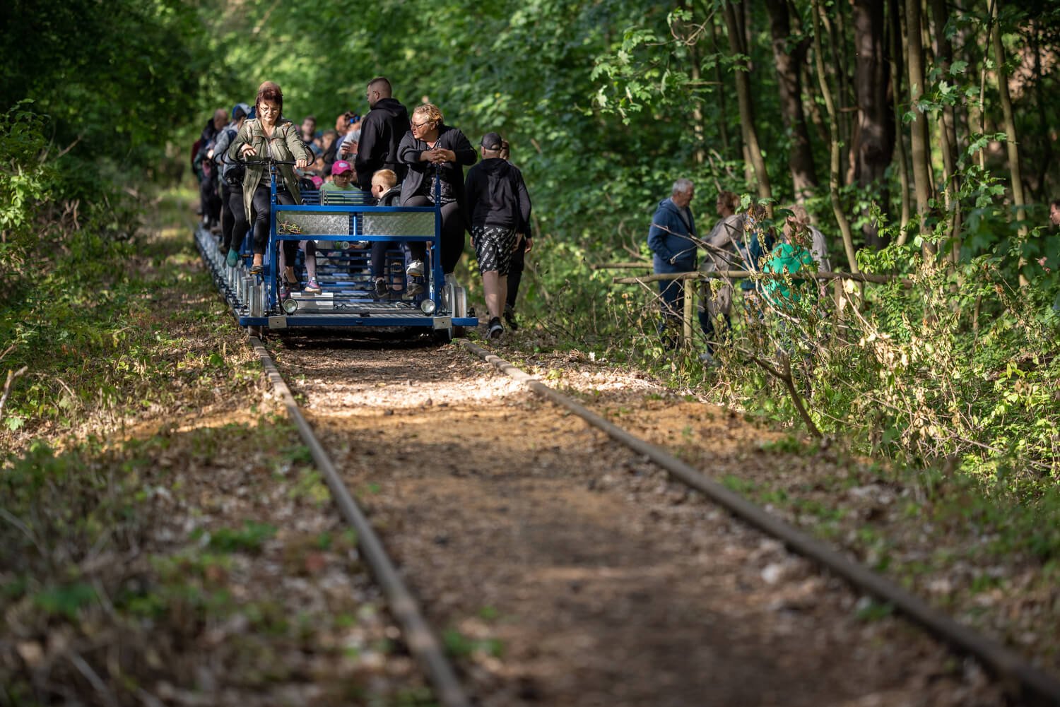 Nadzalewowa Kolej Drezynowa (1km od obiektu) przemierzysz koleją Nadzalewową odcinek od Fromborka do Świętego Kamienia